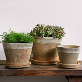 Photo of Campania Tall Cylinder Farmer's Pot - Cotswold White - Set of 12 - Marquis Gardens